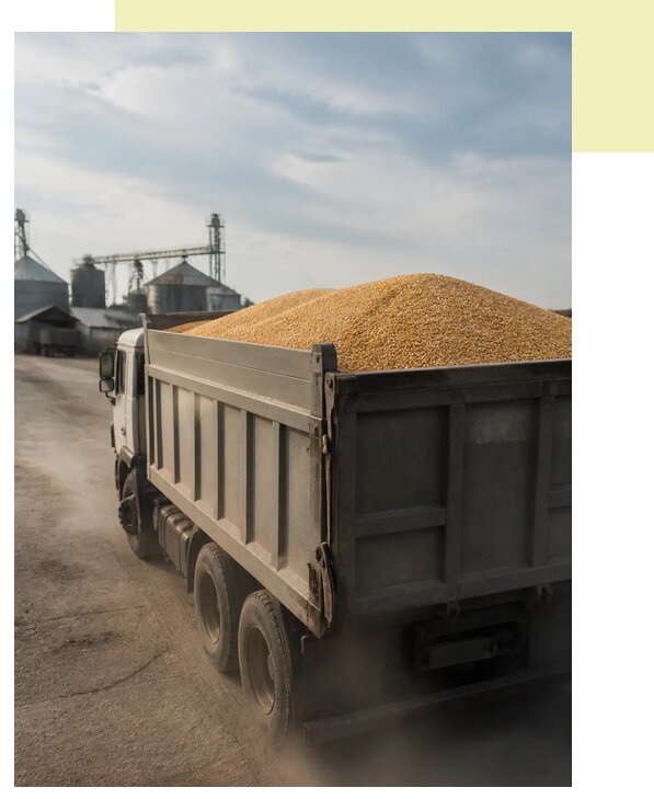 Перевозка сельхозпродукции навалом в Гуково по цене от 3080 р. | Агросервис-Гкв